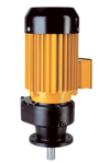 Lutz, Progressive Cavity Pump, B70V-D/DA, B70V-D 80.1 and 120.1